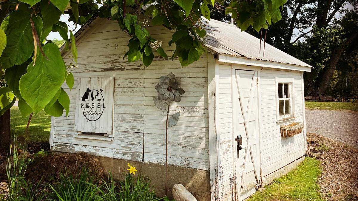 Rebel Rescue Ranch is a non-profit organization founded in Berlin Center, Ohio by Ame Riggs. 
