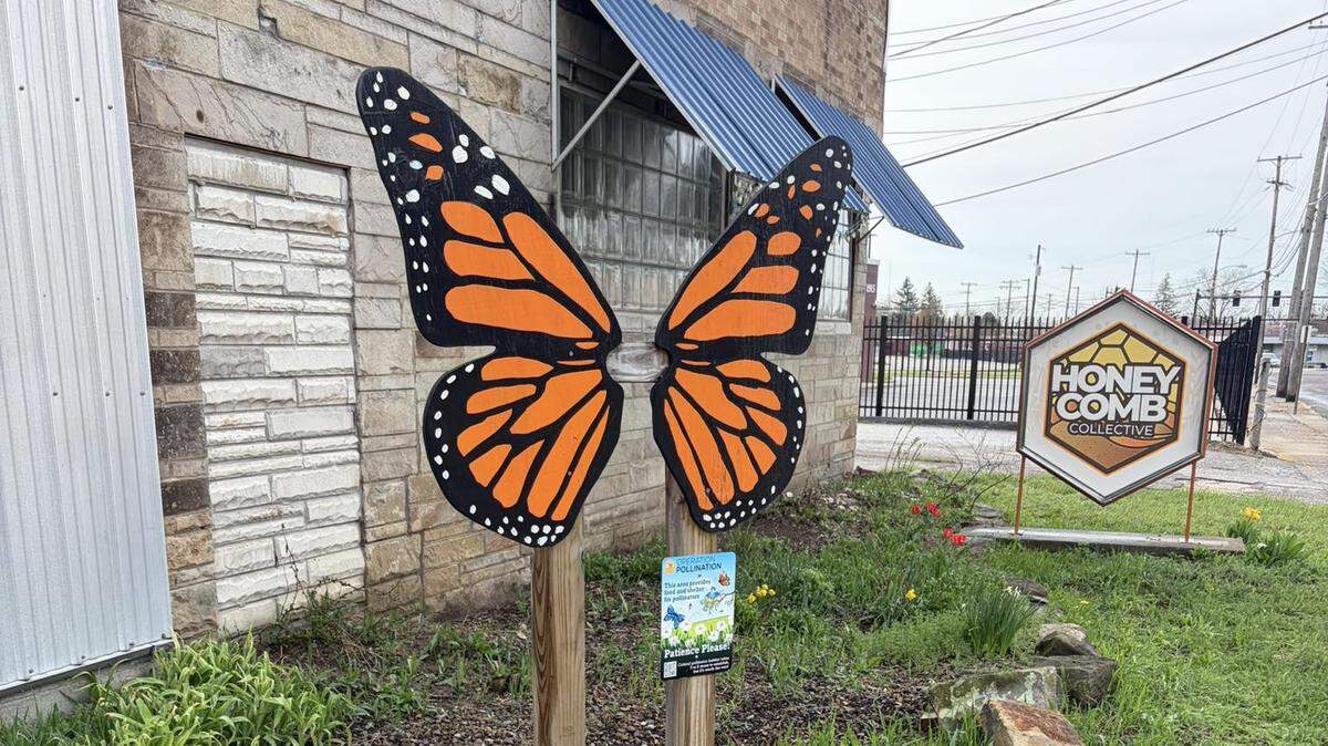 Join the two-day garden build on Belmont Avenue in Youngstown to plant fruits, herbs and flowers and help sustain community pantries and local food initiatives.