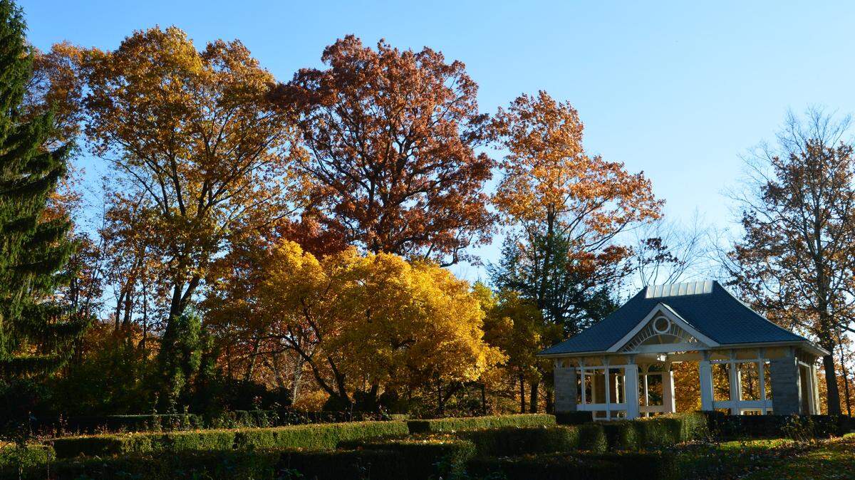 Youngstown’s Fellows Riverside Gardens was named the third best botanical garden in the country. 