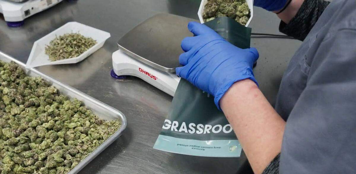 Curaleaf opens its fifth cannabis dispensary in Ohio, located at 801 North State St. in Girard.
