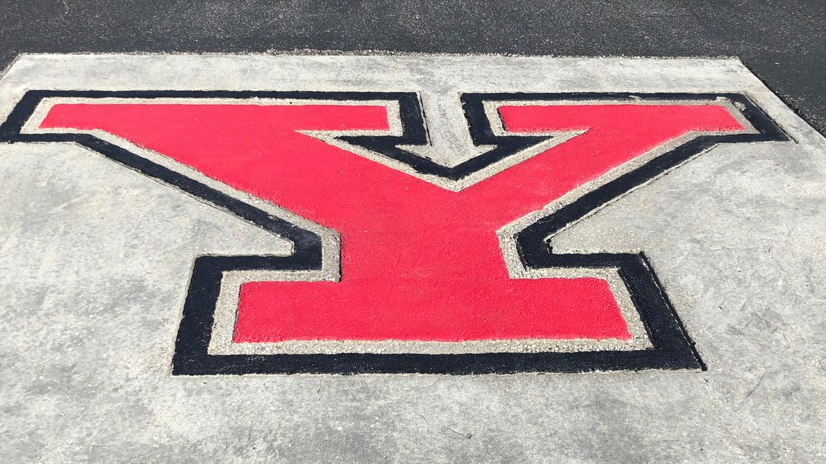 YSU logo painted on the sidewalk along Wick Ave. (Mandy Jenkins photo)