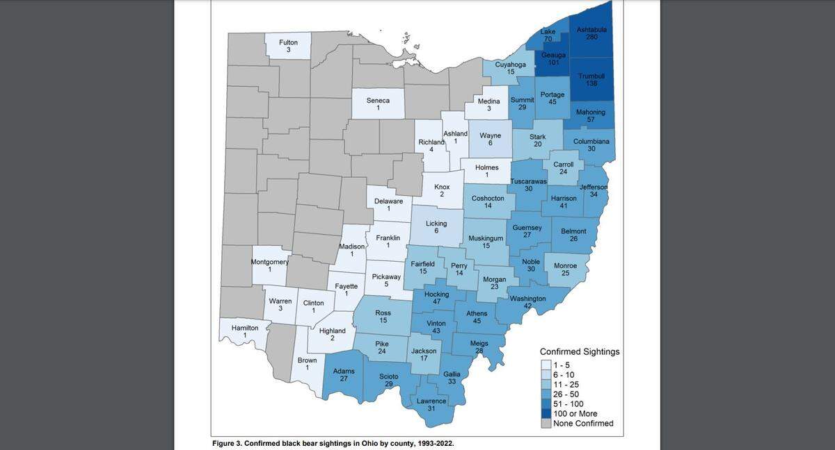 Northeast Ohio residents are more likely to see a black bear than anywhere else in the state. As illustrated above, from 1993 to 2022, Mahoning County had 57 confirmed sightings and Trumball had 138.