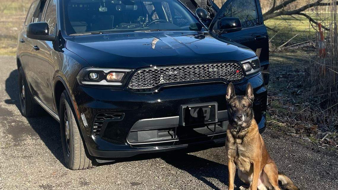 Help Simon, a City of Salem K-9 police dog, become America’s Favorite Pet and win a $10,000 prize. Voting is open online until 7 p.m. on Feb. 22.