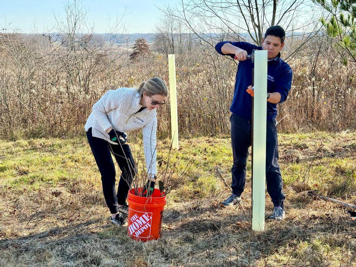 Across the country, the volunteers with FirstEnergy, Ohio Edison and Penn Power are expected to plant 17,000 trees.