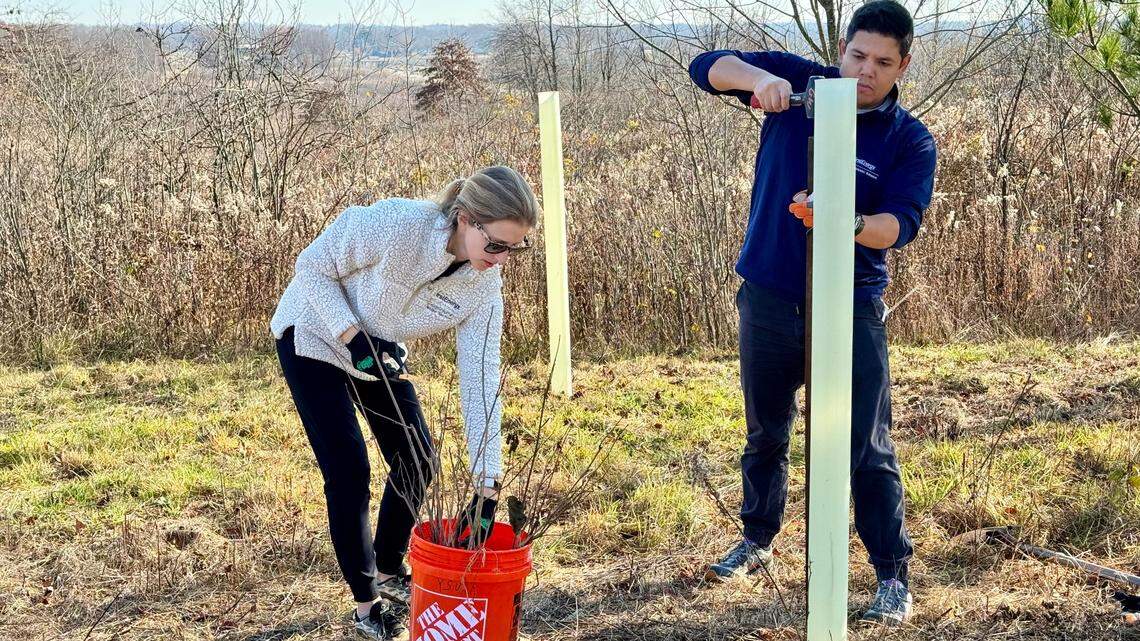 Across the country, the volunteers with FirstEnergy, Ohio Edison and Penn Power are expected to plant 17,000 trees.