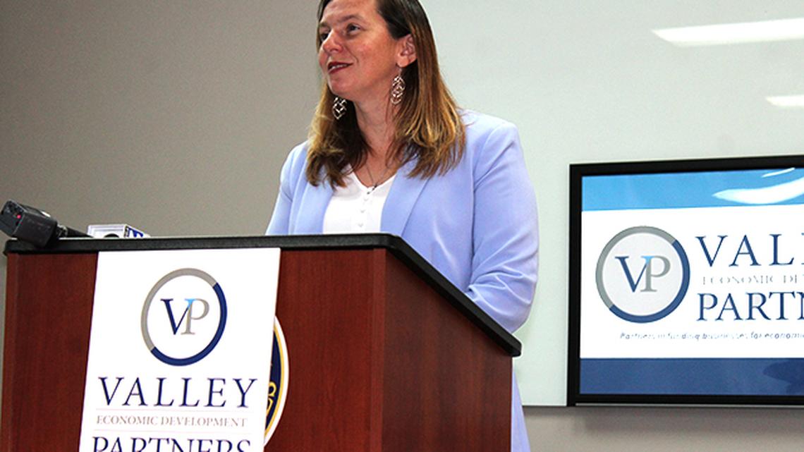 Teresa Miller, executive director of the newly rebranded Valley Economic Development Partners, addresses reporters during a media conference Thursday, July 9, 2020, at the economic development agency's Belmont Avenue offices. (Justin Dennis | Mahoning Matters)