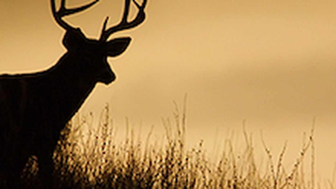 Mahoning Matters Image