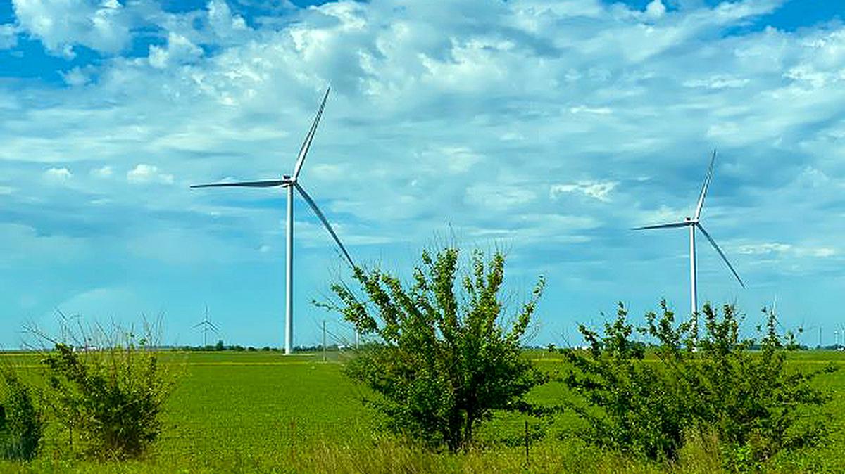 (Photo by Jennifer Griffin | Unsplash)