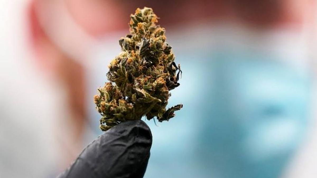 A draft bill unveiled by Senate Democrats on Wednesday would decriminalize marijuana at the federal level if passed. (Steve Helber | AP)