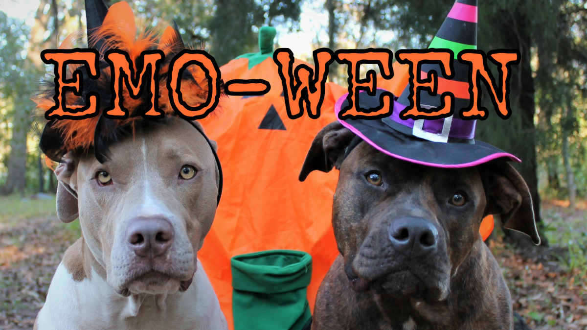 On Saturday, head over to Westside Bowl for the third annual Emo-Ween benefiting All About the Pawz Dog Rescue.