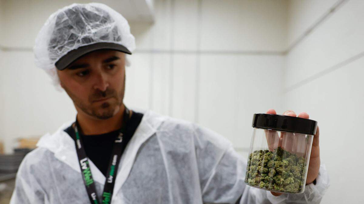 PharmaCann Manager of Cultivation Tommy Black holds up a jar of marijuana packaged for medical sale at PharmaCann, Inc.’s cultivation and processing facility in Buckeye Lake, Ohio.