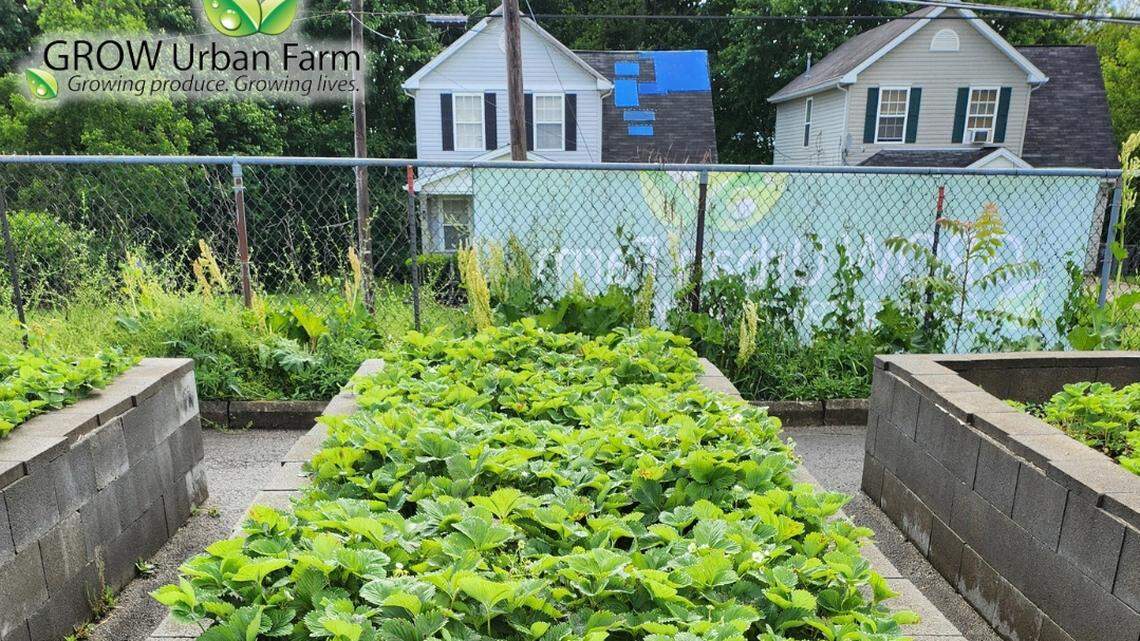 Learn about Flying HIGH Inc.’s Adopt-A-Bed program in Youngstown