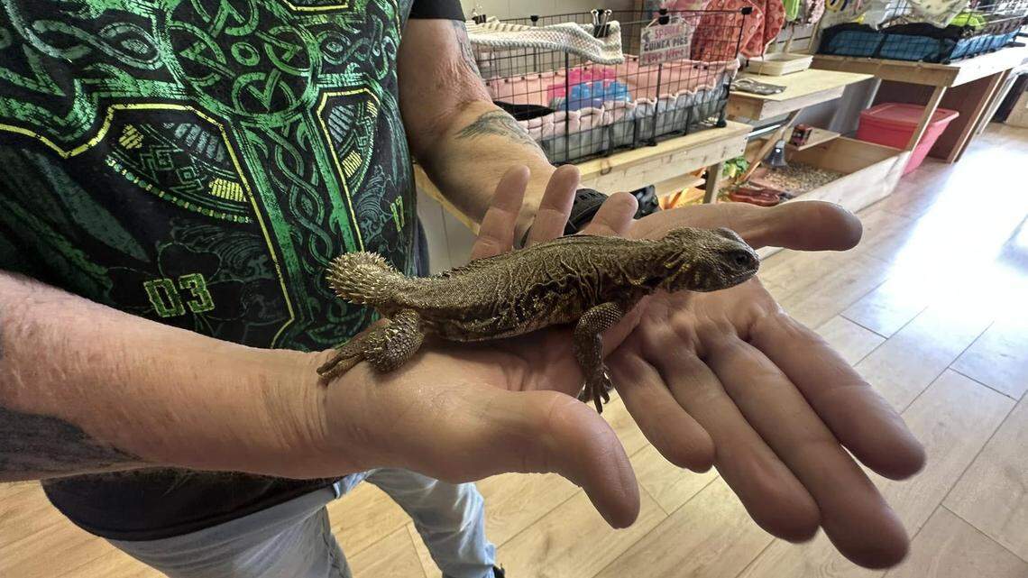 Pet grooming and supply store open in new, larger Liberty Township location