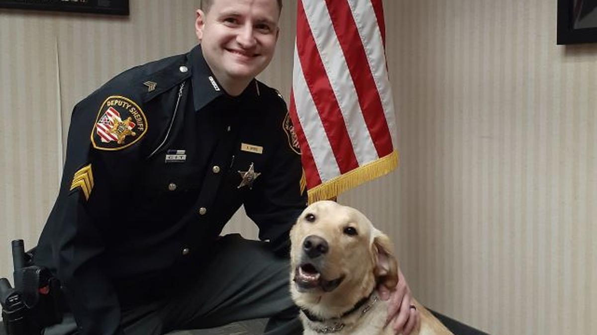 Cliff, a Labrador retriever, is the newest member of the Mahoning County Sheriff’s Office. With Cliff is his handler, Sgt. Kevin Myers. (Contributed photo)
