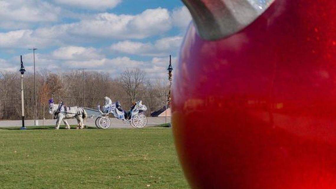 Southern Park Mall carriage rides