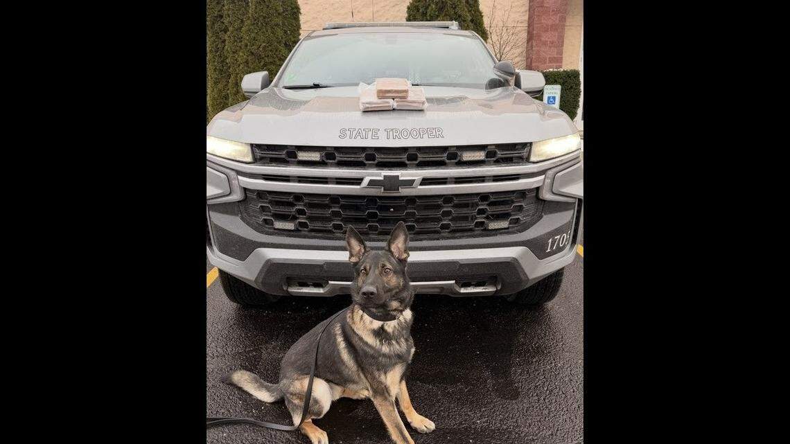 Ohio State troopers seize 3,000 grams of cocaine in Mahoning County