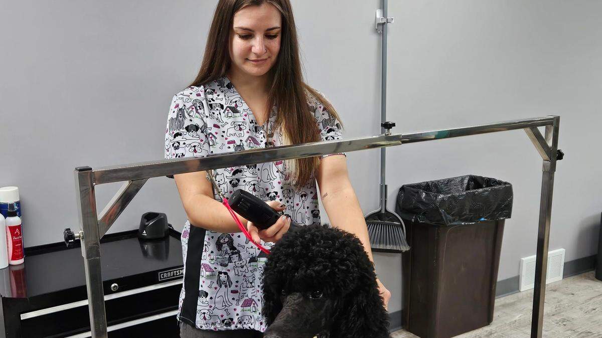 Meet Hannah Rose, owner of Girard’s newest pet grooming business, Kiss My Mutt.