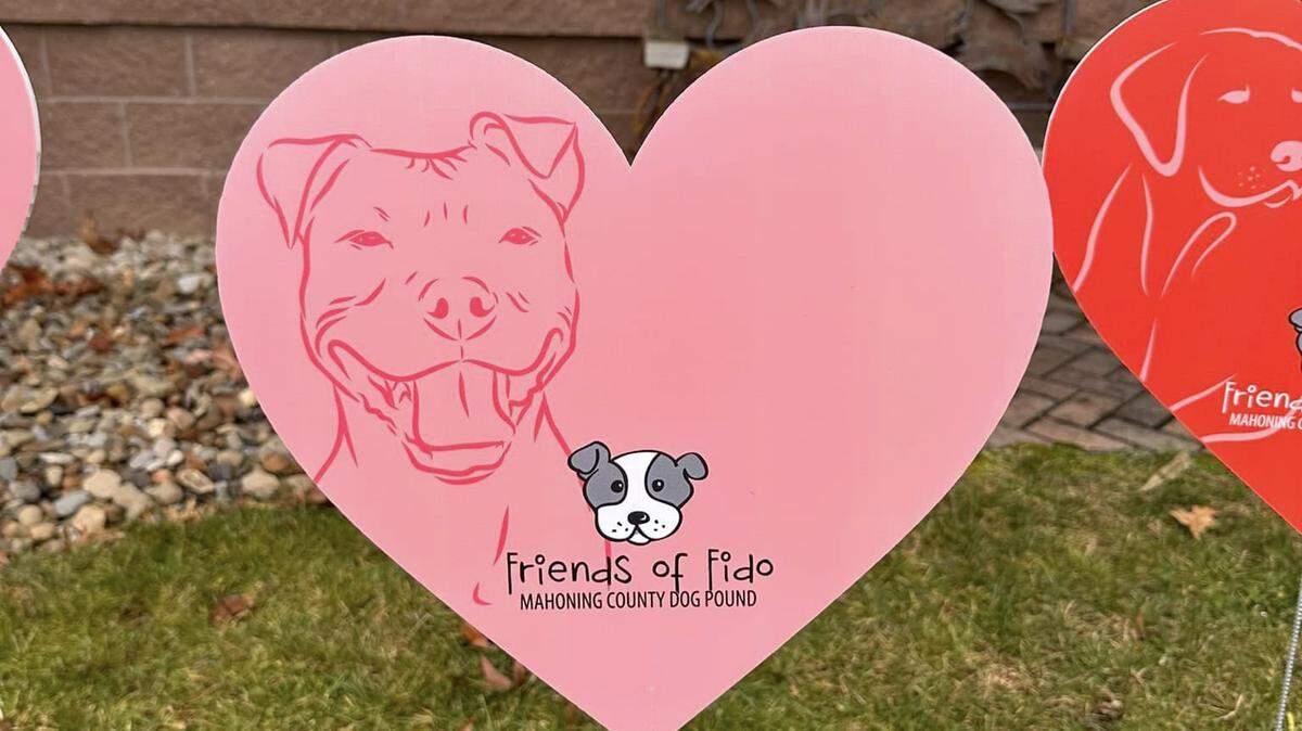At the Mahoning County Dog Warden, there’s a special fundraiser happening to show some love to sick and injured animals that are in need of veterinary care.