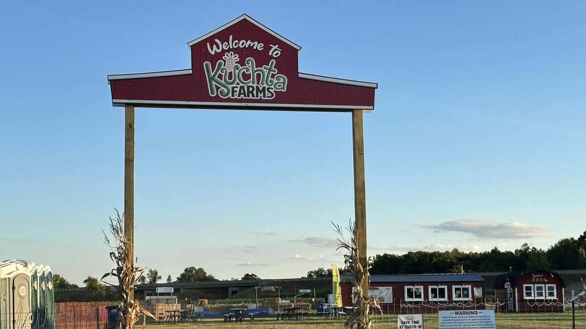 See Dolly Parton corn maze on opening day at Kuchta Farms in Newton Falls