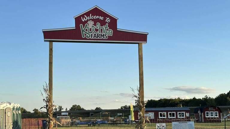 See Dolly Parton corn maze on opening day at Kuchta Farms in Newton Falls