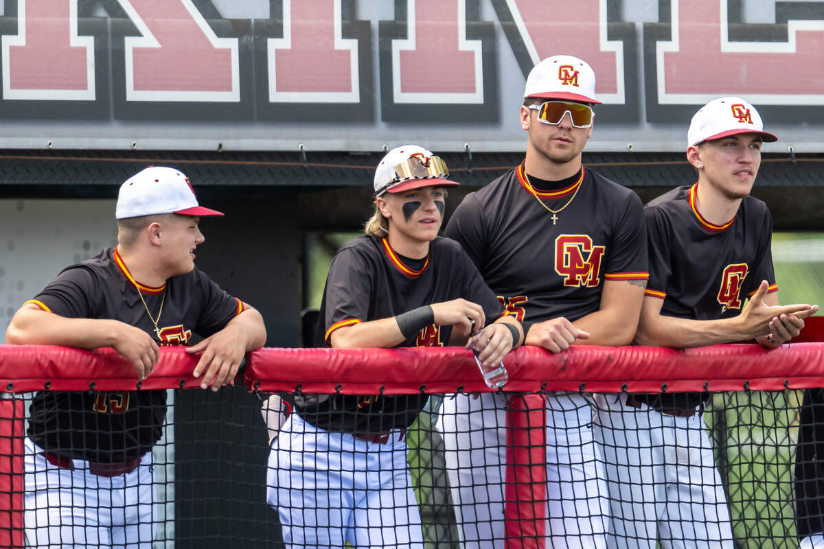 Mooney was the only greater Mahoning Valley-area baseball team to advance to the state tourney this season.
