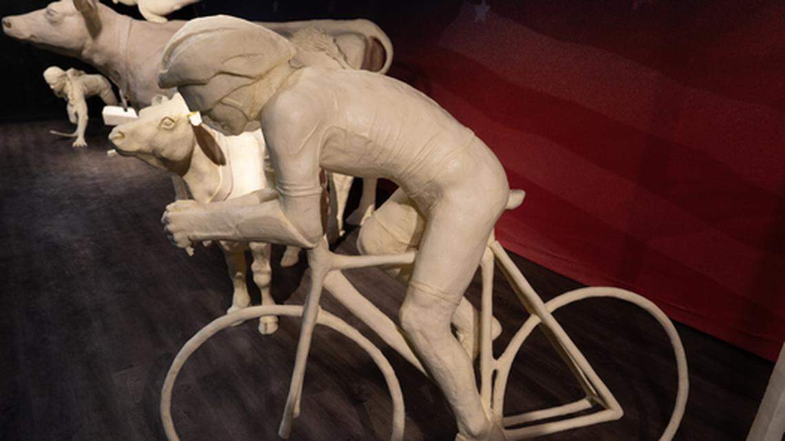 A life-size butter sculpture of a cyclist is included in this year’s butter cow display at the Ohio State Fair. Sculptors built a hidden armature to convey the motion of the cyclist leaning to the side as he rounds a curve.