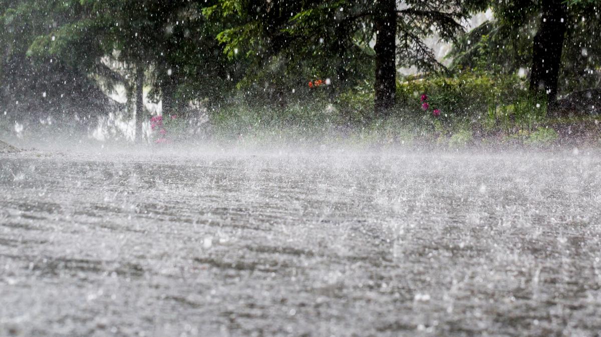 Kentucky residents may experience a particularly hot and stormy summer, according to the Farmers’ Almanac.