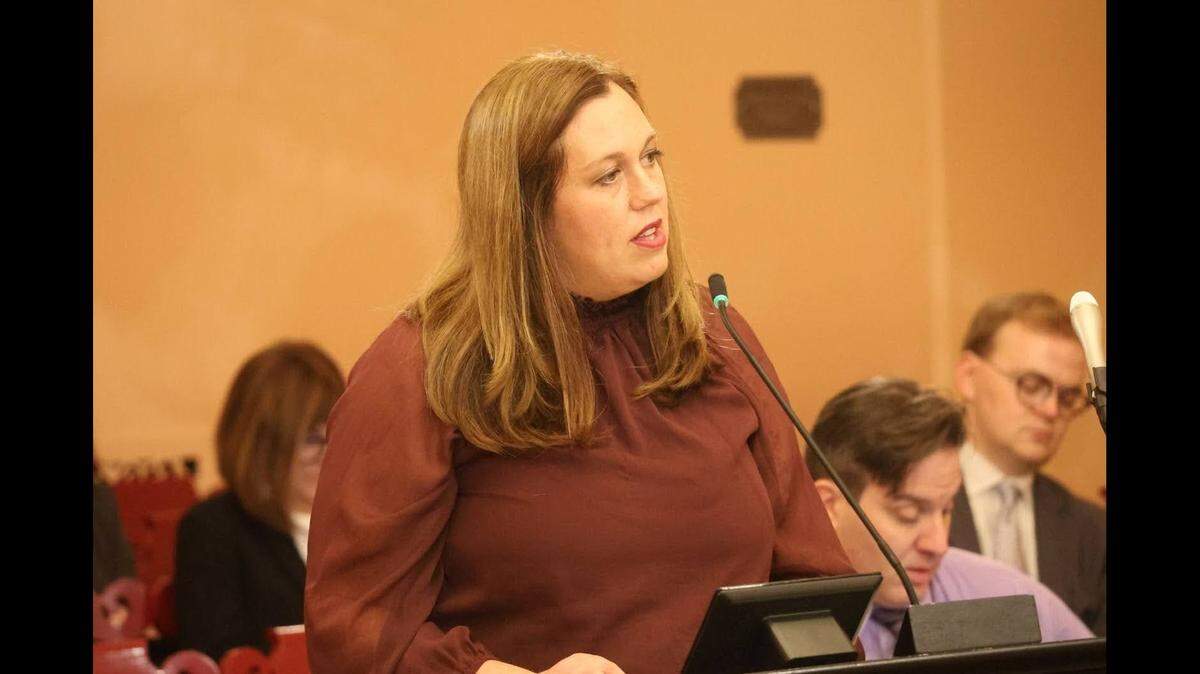 State Rep. Lauren McNally (D-Youngstown)