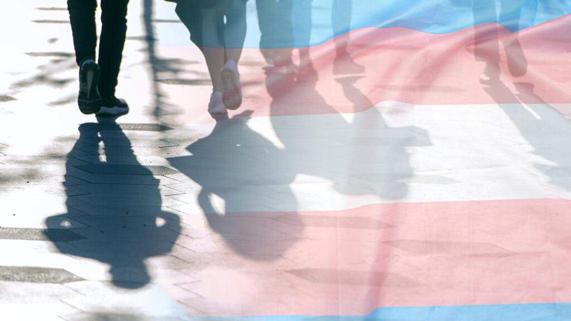 Transgender flag, shadows and silhouettes of people on a road