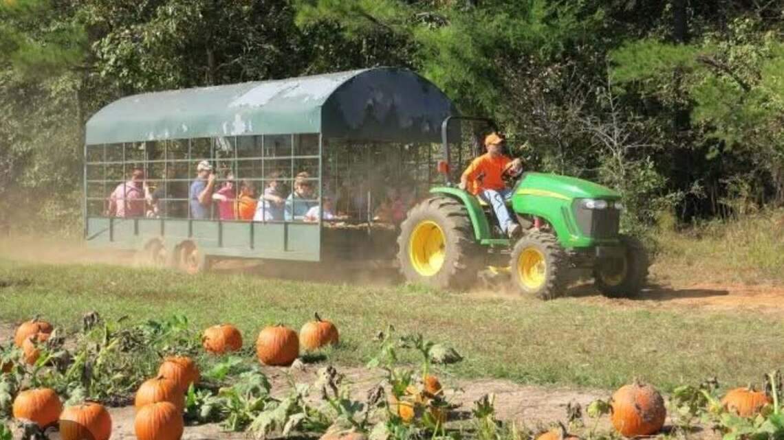 Where to find fall, Halloween events happening in Mahoning Valley area 2026