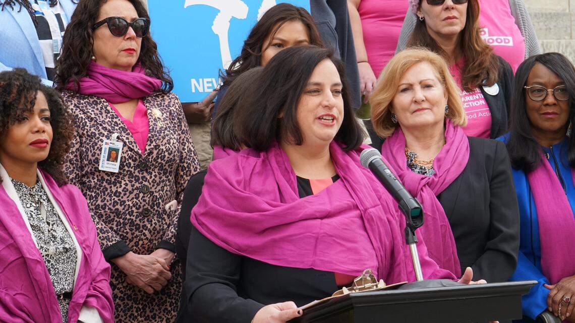 State Rep. Beth Liston, D-Dublin, speaks at a rally to protect abortion rights. (Photo from General Assembly website.)