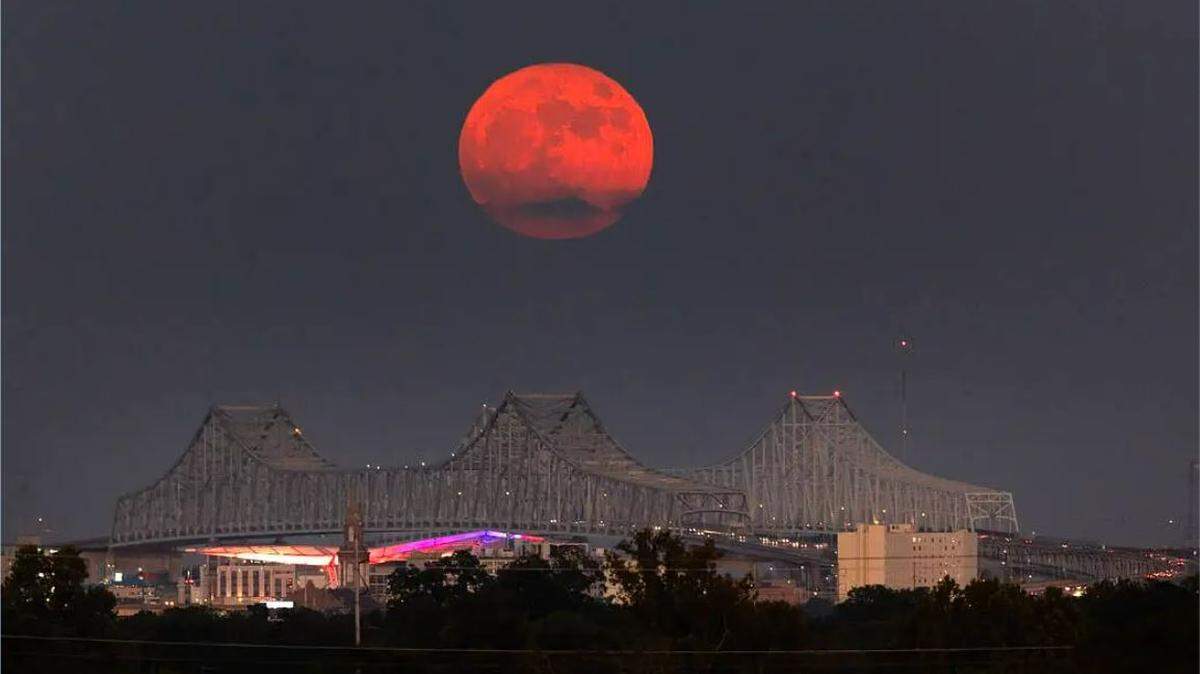 The full moon had begun to wane April 15 when someone resembling a werewolf was seen breaking into a New Orleans business, officials say.