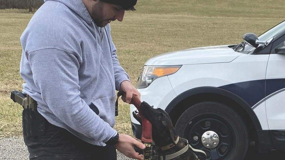 Meet Pogo, Poland Township Police’s newest rescued recruit