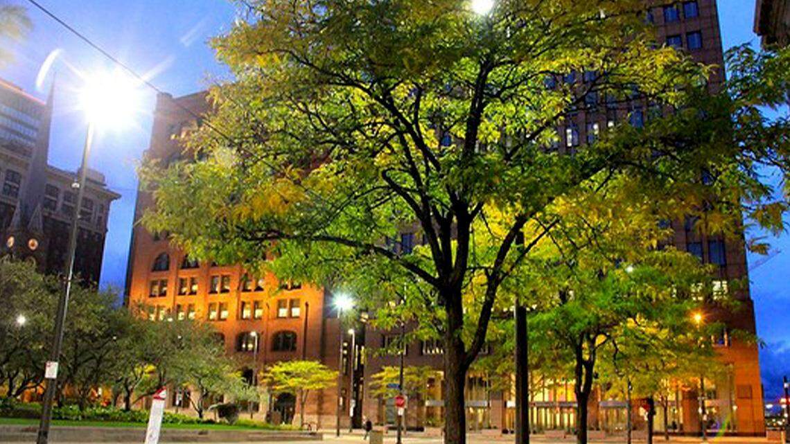 Cleveland is among the 248 Tree City USA cities in Ohio.