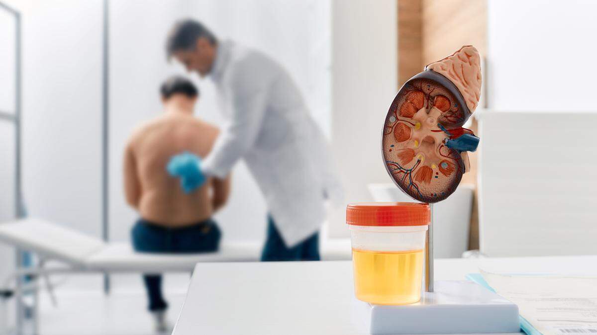 Since the introduction of the PACT Act in 2022, veterans suffering from over 20 diseases caused by toxic agents listed under the Act are granted automatic compensation and healthcare benefits.