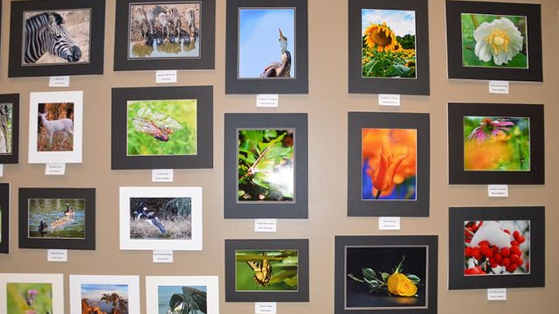 The annual Nature Photography Exhibit in the Weller Gallery in the D.D. and Velma Davis Education & Visitor Center at Mill Creek MetroParks’ Fellows Riverside Gardens will be on display from Saturday through April 12. (Contributed photo)