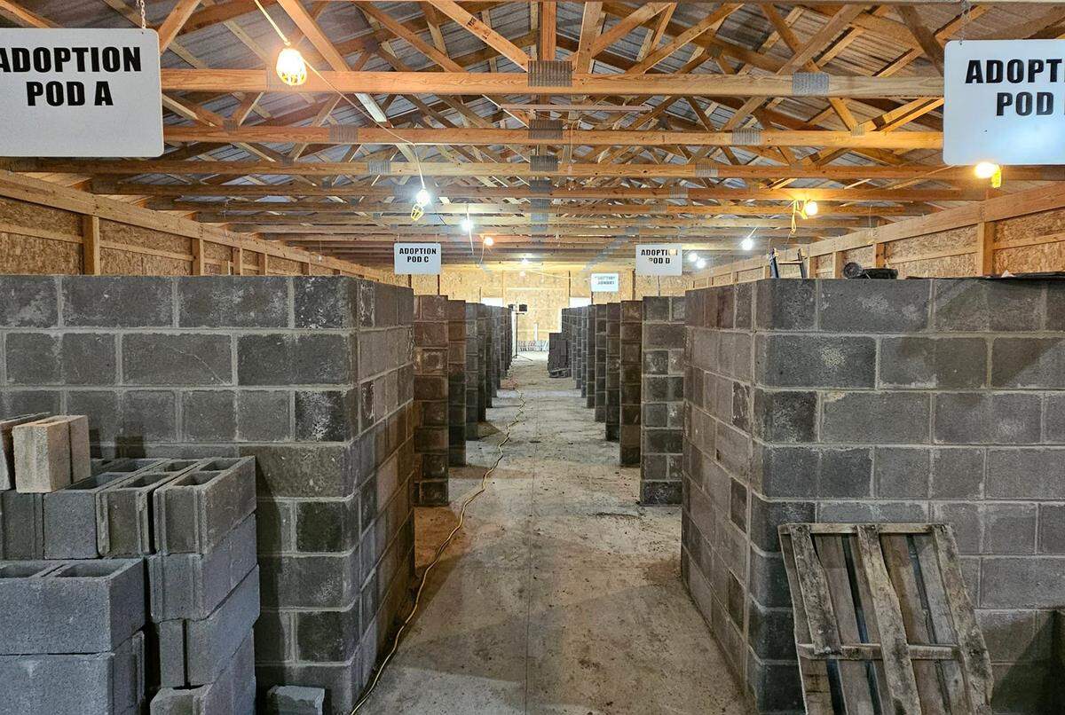 There’s a volunteer opportunity to help paint the interior of the new animal shelter.