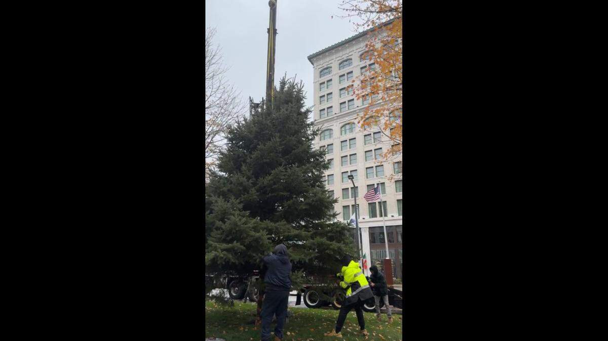 City of Youngstown officials celebrated successfully setting up the Christmas tree Nov. 22, which was donated by Poland resident Bill West.