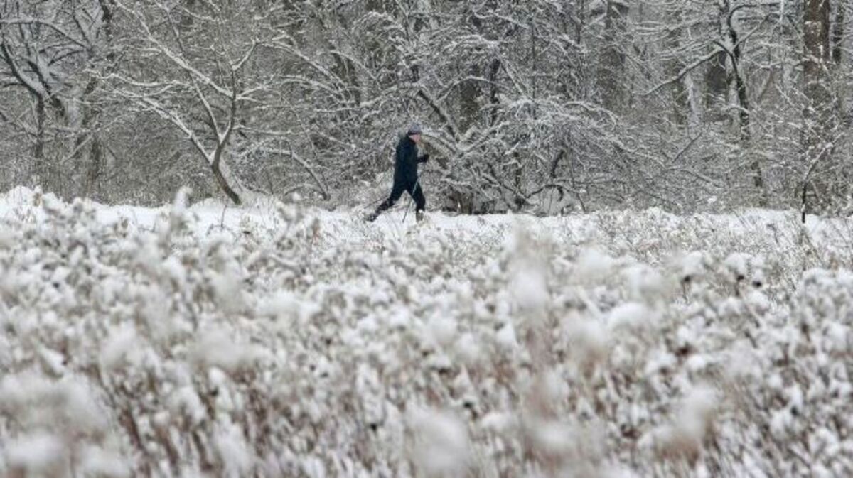 Chuck O’Malley, 47, cross country skis on a trail in Moreland Hills, Ohio, on Jan. 8, 2010. (Tony Dejak | Associated Press)