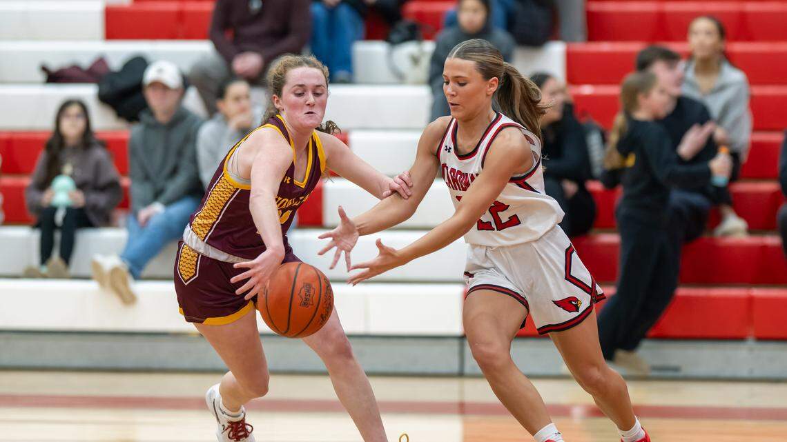 Take a look at this week’s Mahoning Matters Super 7 high school girls basketball ranking