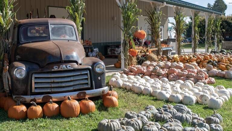 2026 guide to fall, Halloween events happening across the Mahoning Valley region