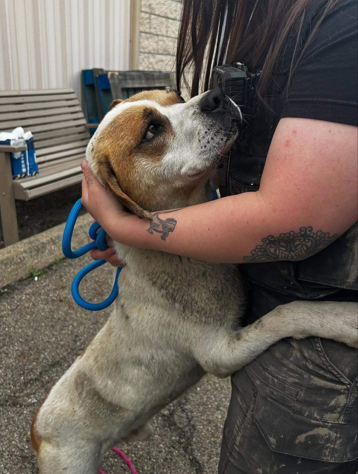 Humane society agents rescued a dog named Brownie 2 who’d been abandoned in Youngstown in an enclosure filled with mud without any access to clean food or water.