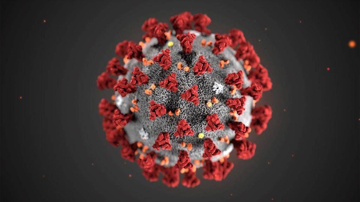 This illustration, created at the Centers for Disease Control and Prevention (CDC), reveals ultrastructural morphology exhibited by coronaviruses.