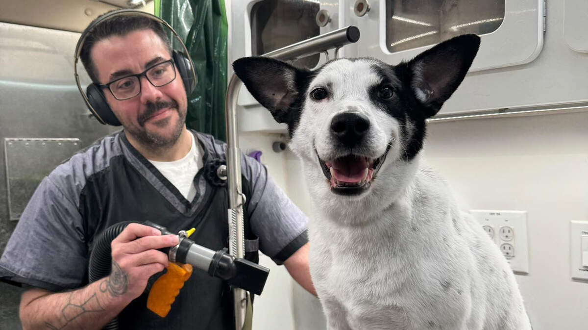 Owner of On Point Mobile Pet Grooming Josh Danso and Tango, an adoptable dog at the Trumbull County Dog Warden.