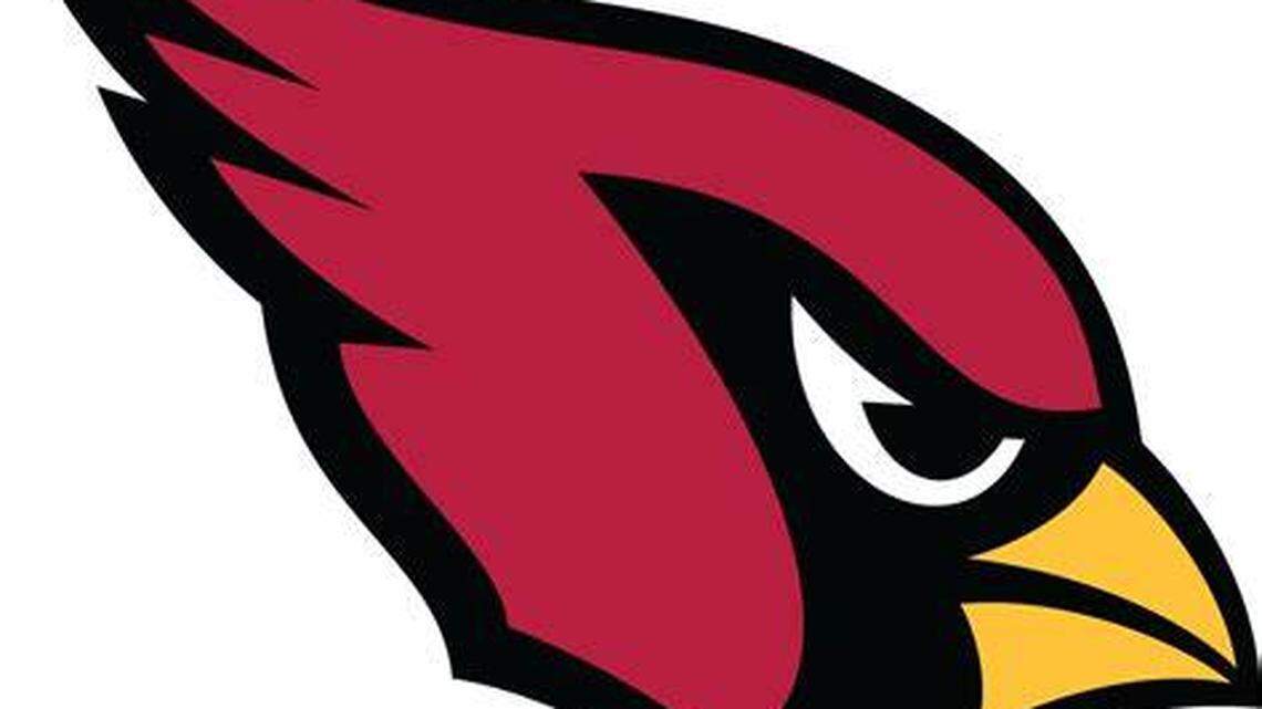 Canfield Cardinals