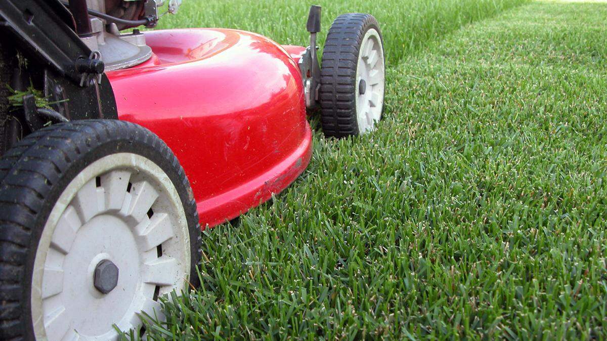 lawn mower, grass