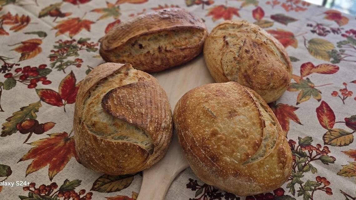 Colombo Bread Columbiana artisanal sourdough baker promotes wellness daily | Mahoning ...
