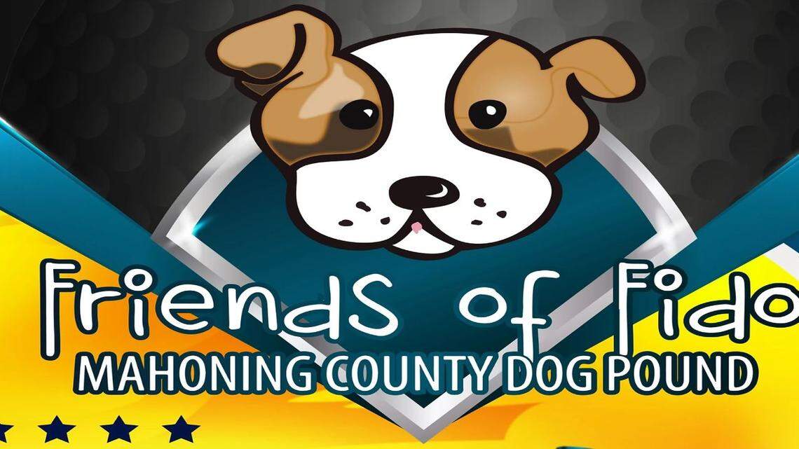 The Friends Of Fido “Hot Diggity Dog” chili cook-off is happening at 6 p.m. Oct. 6 in downtown Youngstown. 