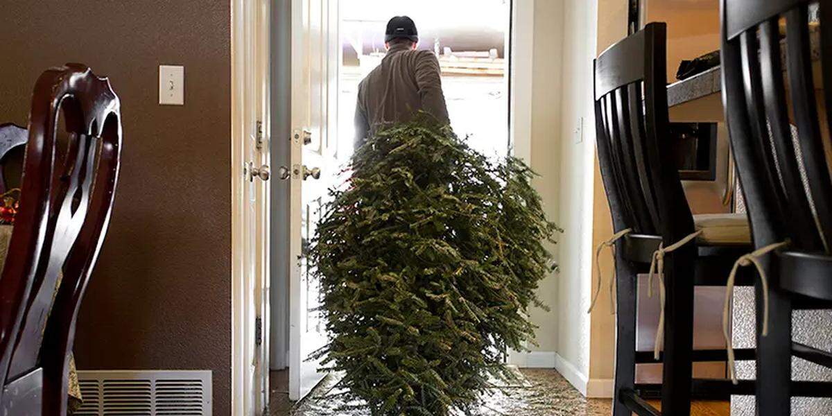 The National Fire Protection Agency strongly encourages Ohioans to remove Christmas trees from their homes after the holiday season to prevent home fires.