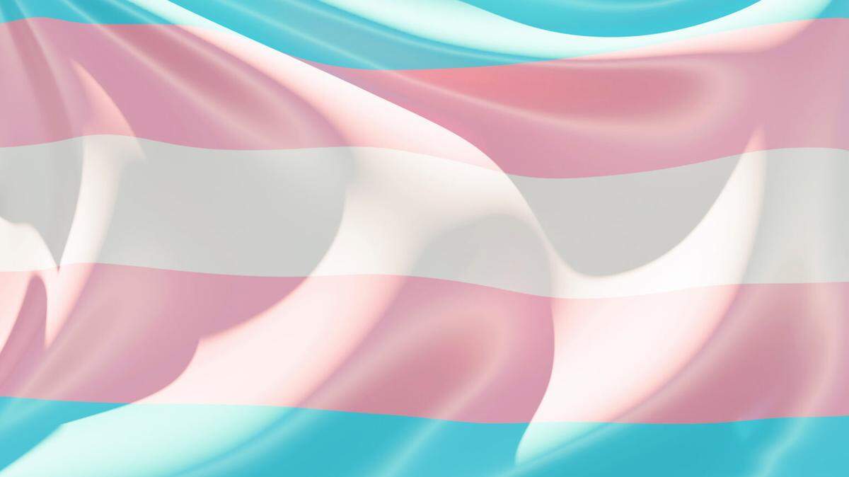 Close-up of a transgender pride flag flapping on a sunny day filling the frame